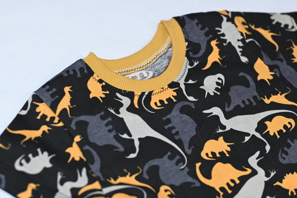 Kinder T-Shirt Jungen Mädchen 100% Baumwolle Kurzarm Dinosaurier